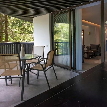 Poiana Brasov Alpin Executive Apartment מראה חיצוני תמונה